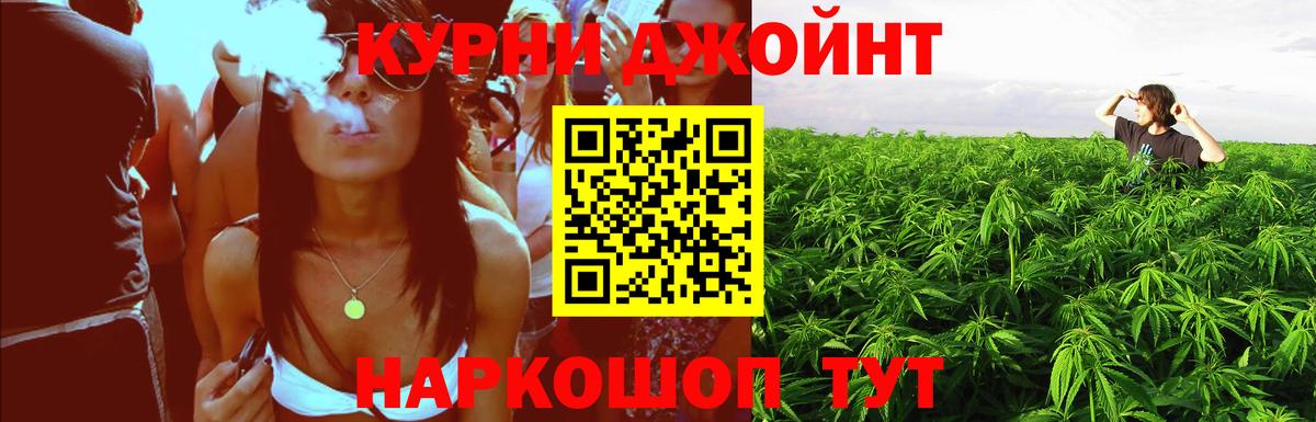 Шишки марихуана планчик  Бошки марихуана гибрид  Кизляр  Вход с VPN 